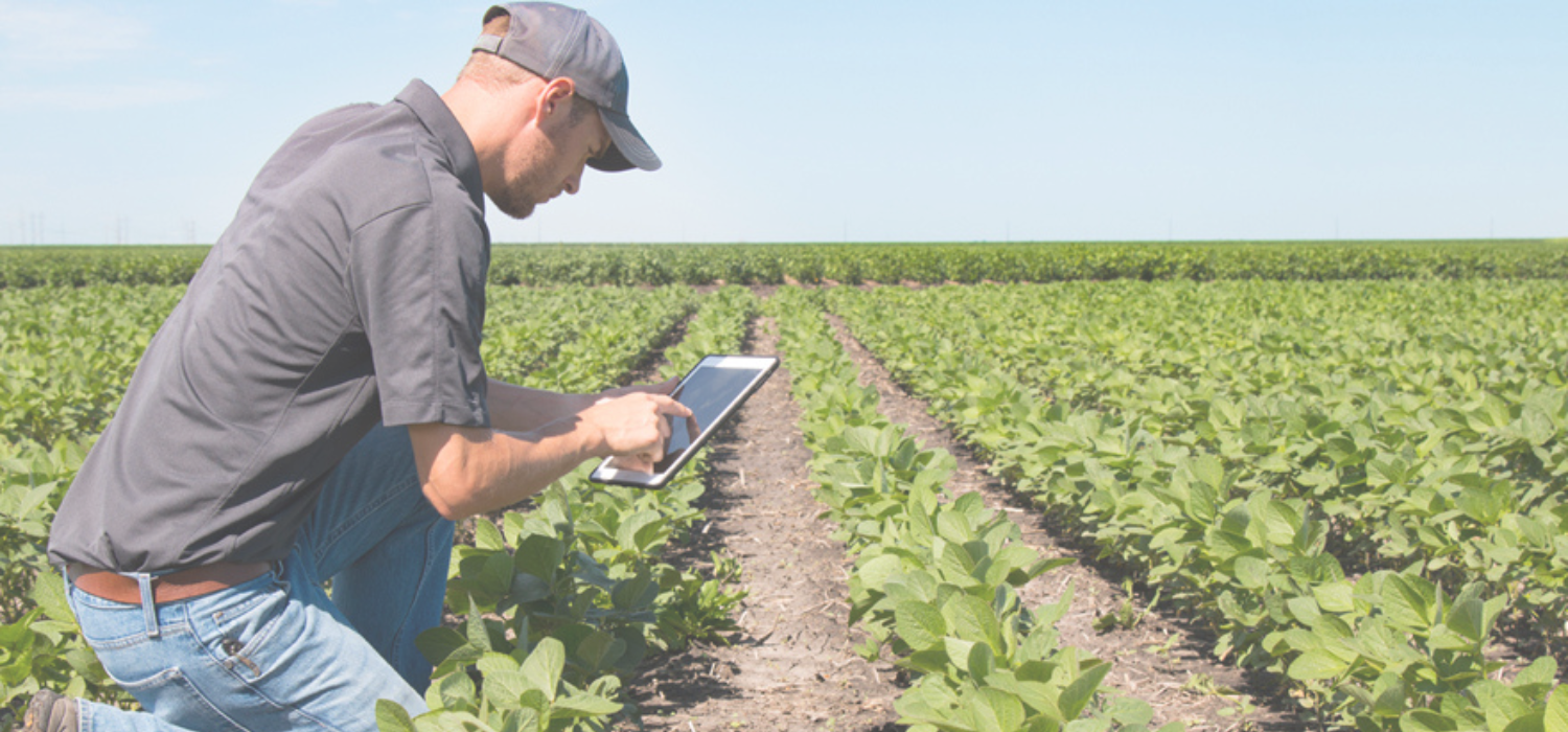 Incorporación a la empresa agraria (INCSEPT26)
